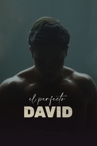 Poster of El perfecto David