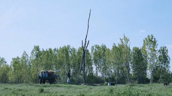 Гикавка (2002)