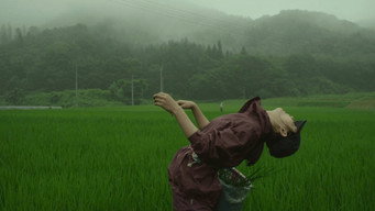 Still 8 from Little Forest: Summer/Autumn