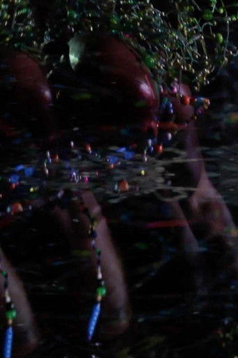 Good Stock On The Dimension Floor: An Opera (2014)