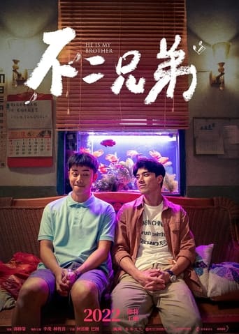 Poster of 不二兄弟