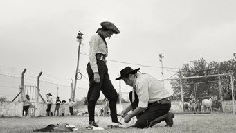 Gaucho Gaucho (2024)