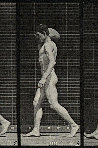 A man bearing load on shoulder