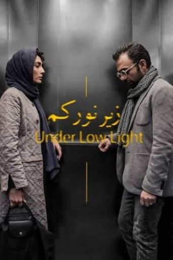 Under Low Light poster