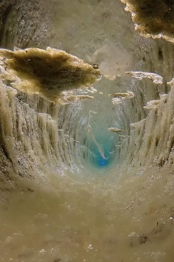 The Stream XII-II (2023)
