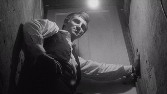 #24 The Honeymoon Killers