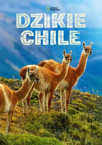 Dzikie Chile
