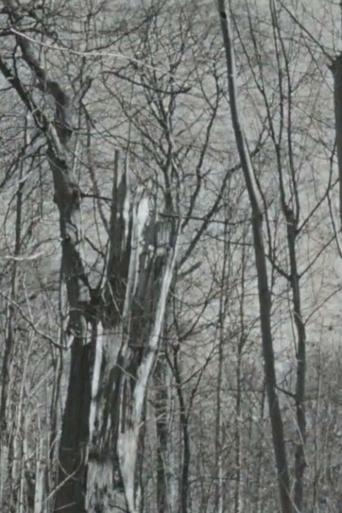 My Next Door Neighbours poster