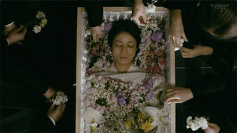 Episode 1 — Episode 1