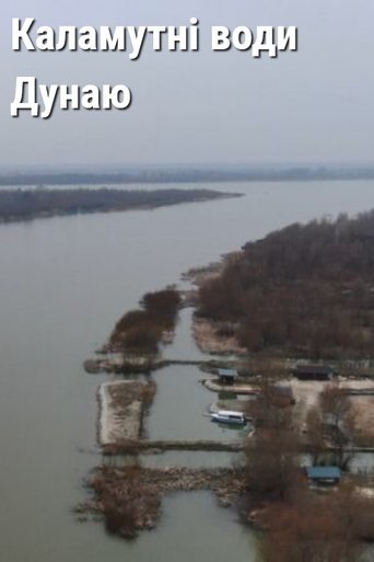 Muddy Waters of the Danube