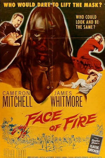 Face of Fire poster 5