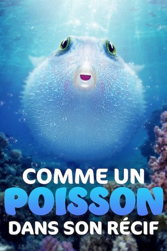 Comme un poisson dans son récif