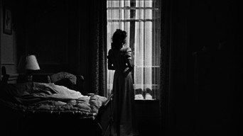 #20 Cat People