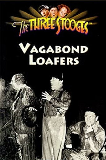 Vagabond Loafers