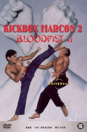 Kickbox harcos 2