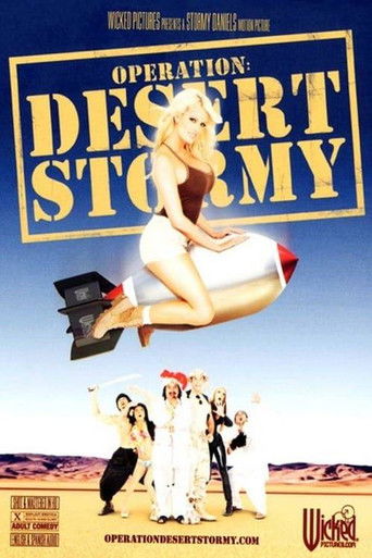 Operation: Desert Stormy poster 2