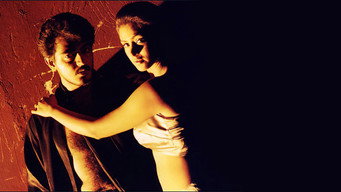 Vaali media image