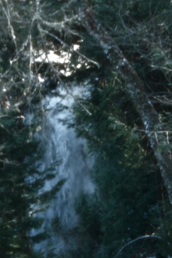 Leaves for a reel