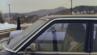 The Animal (1976)