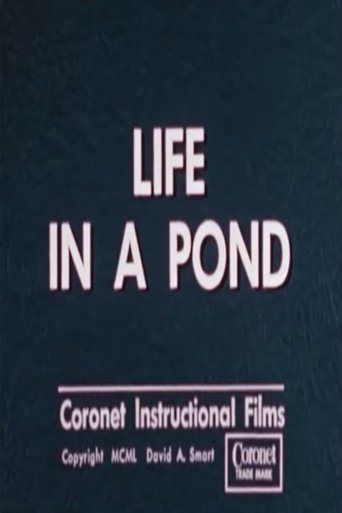 Life in a Pond