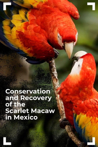 Conservation and Recovery of the Scarlet Macaw in Mexico (2025)