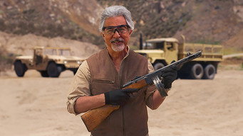 Gun Stories (2011- )