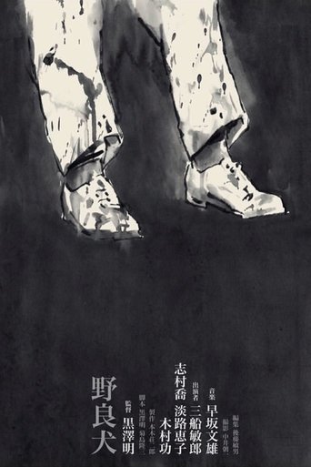 野良犬