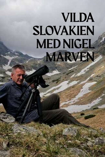 Poster 2
