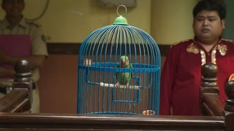 Episode 4