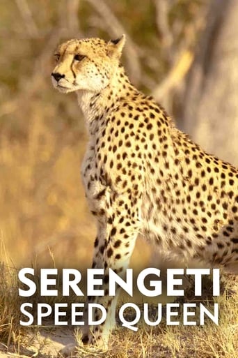 Serengetis fartdrottning