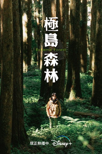 Poster 8