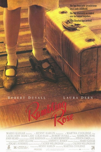 As Noites de Rose - Capa alternativa 3