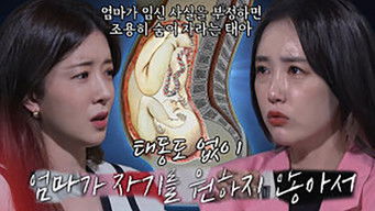 Episode 37 — Episode 37