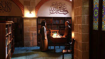 Episode 16 — Episode 35