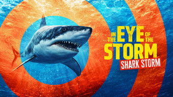 Episode 6 — In the Eye of the Storm: Shark Storm