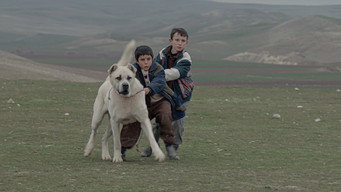 #5 Sivas