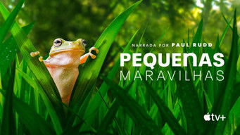 Cena de Pequenas Maravilhas