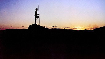 #41 Walkabout