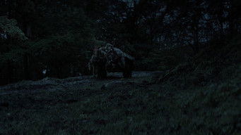 Episode 7 — Episode 7