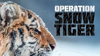 Operation Snow Tiger - S1E01