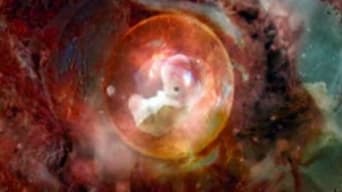 Secretos Del Universo Con Morgan Freeman T3E3