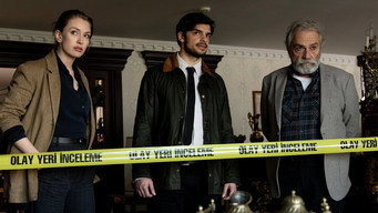 The Turkish Detective (2023-2024)