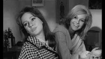 The Pleasure Girls (1965)