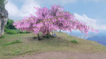 Episode 55 — Episode 55