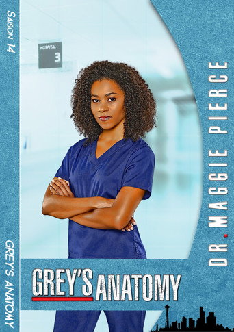 Grey's Anatomy - S14 - Poster