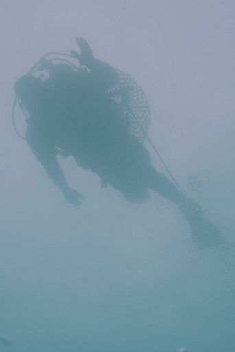 See, See, Sea poster