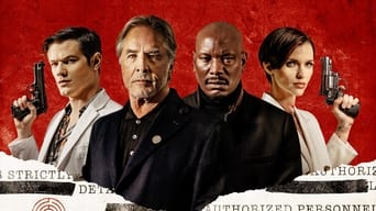 Galeria 3 - El Colectivo