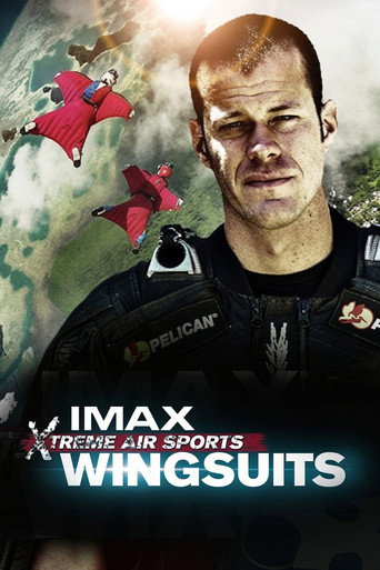 Wingsuit Warrior galeri 3