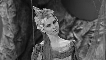 Cernovláska (1988)