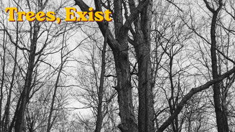 Trees, exist (2026)